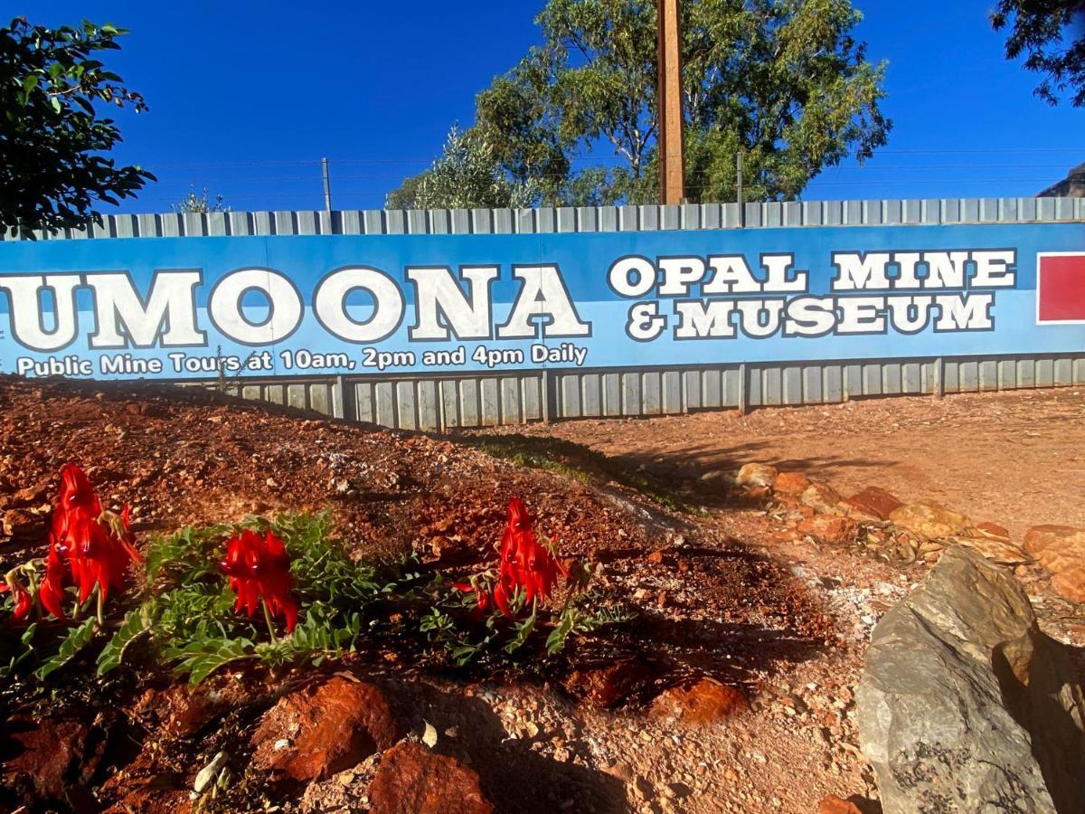 Ali's Underground Studio Coober Pedy Exterior foto