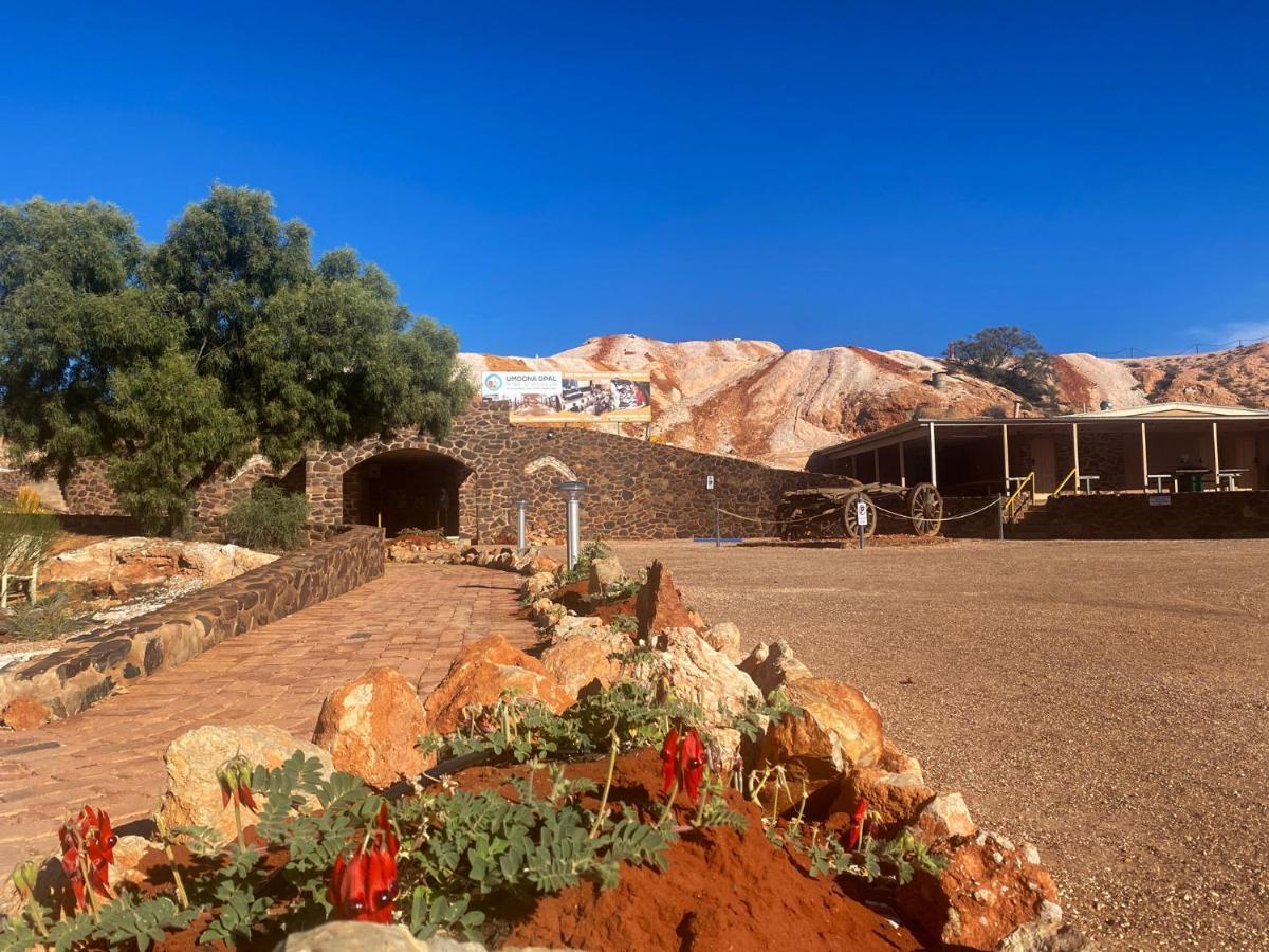 Ali's Underground Studio Coober Pedy Exterior foto